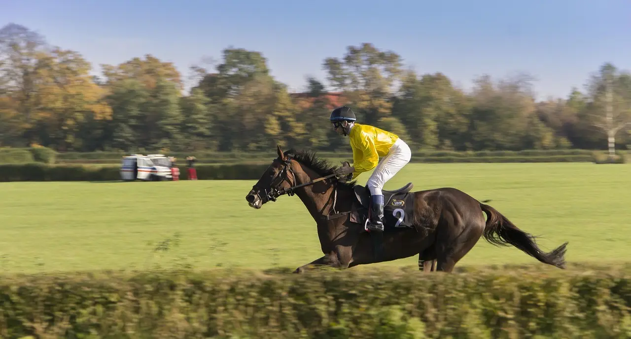 Jockey på en galophest i løb