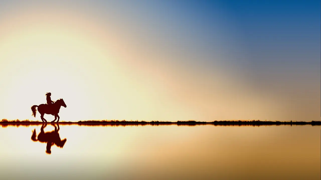 Rytter på en galopperende hest ved solnedgang med spejling i vand