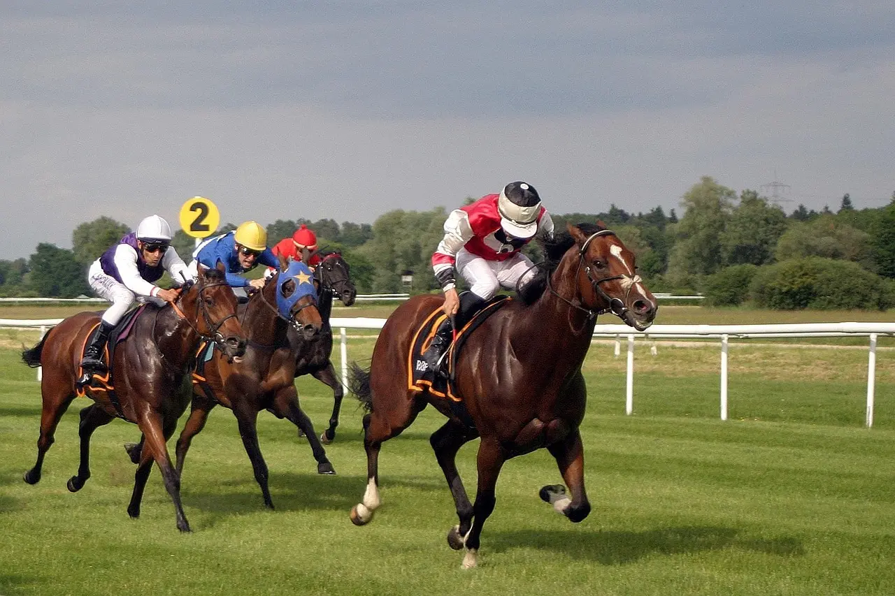 Galopheste med jockeyer i løb på en græsbane